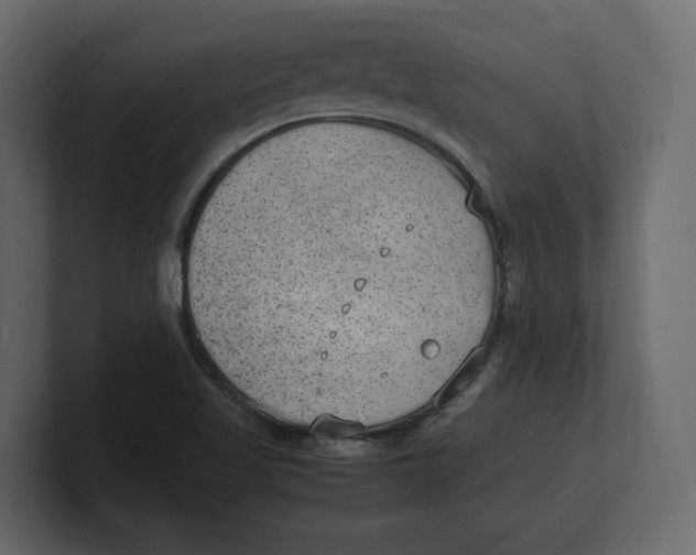 X0000100351509200806271351