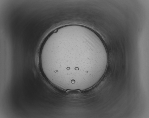 X0000100351511200806271351