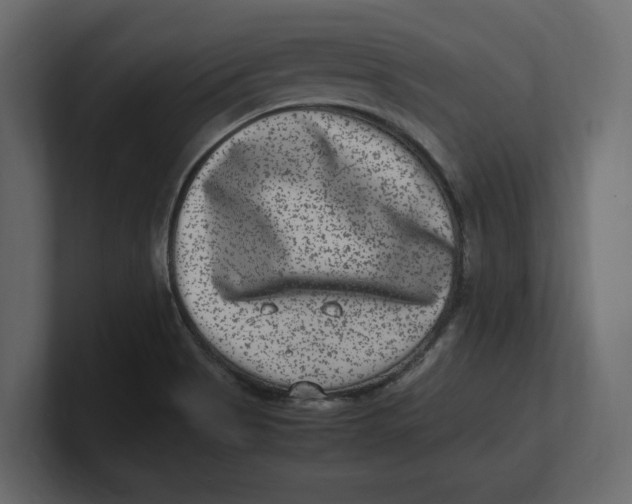 X0000100351513200806271351