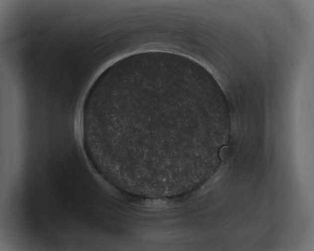 X0000100351515200806271351