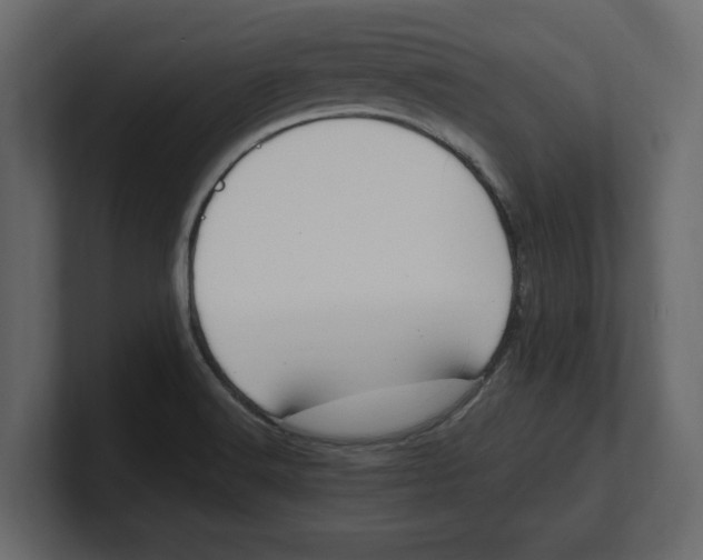 X0000100351516200806271351