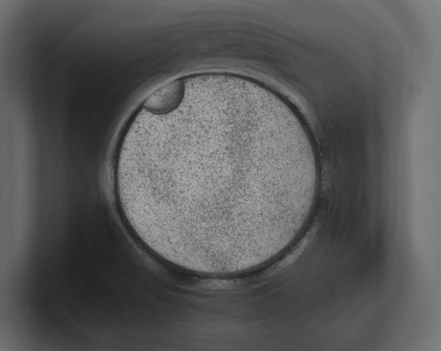 X0000100351517200806271351