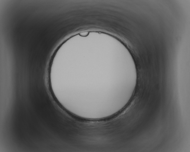 X0000100351518200806271351