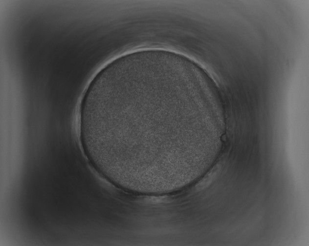 X0000100351519200806271351