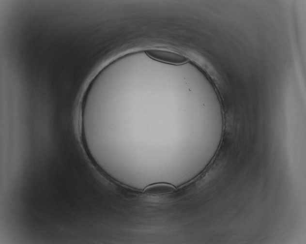 X0000100351520200806271351