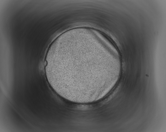 X0000100351521200806271351