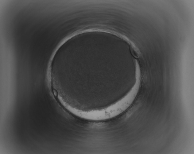 X0000100351522200806271351