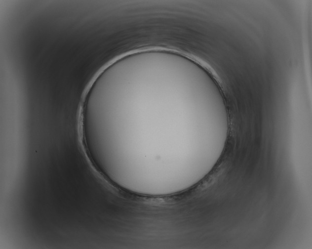X0000100351524200806271351