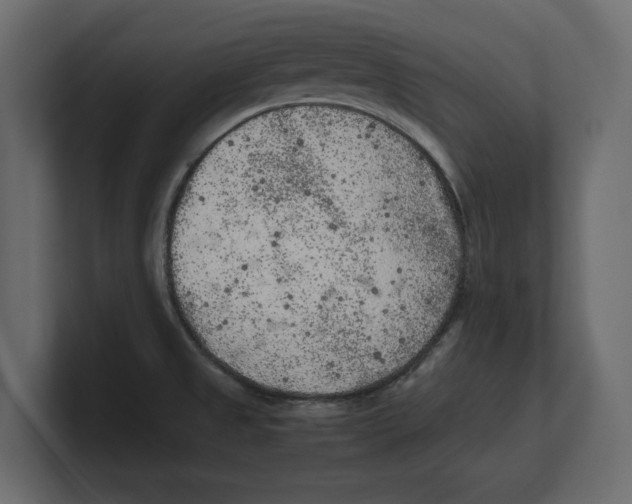 X0000100351525200806271351