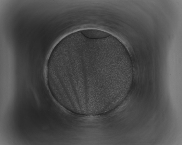X0000100351527200806271351
