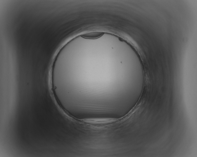 X0000100351528200806271351