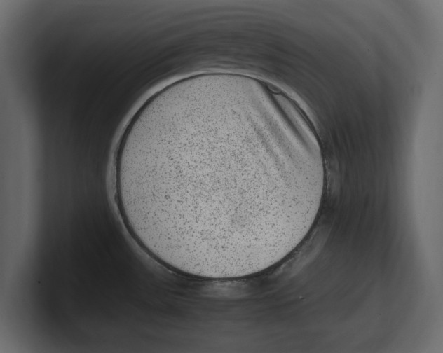 X0000100351531200806271351