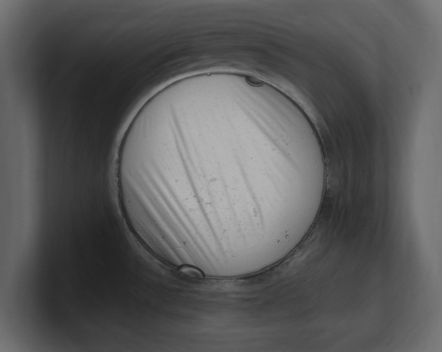 X0000100351532200806271351