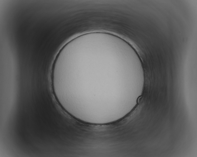 X0000100351534200806271351