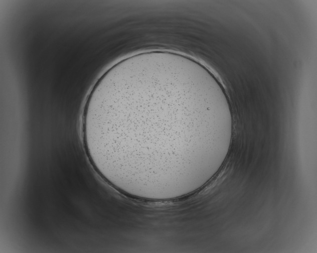 X0000100351535200806271351