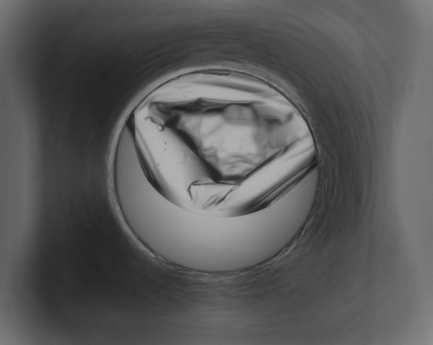 X0000100351536200806271351