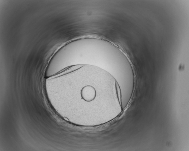 X0000100350001200807031825