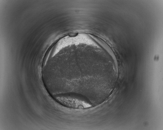 X0000100350002200807031825