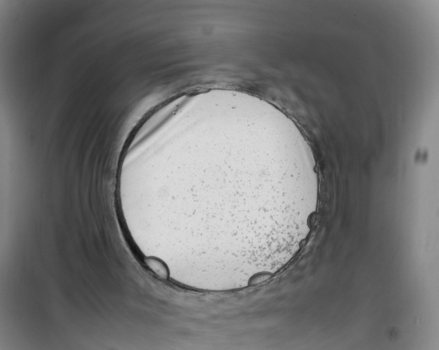 X0000100350003200807031825