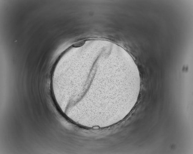 X0000100350005200807031825