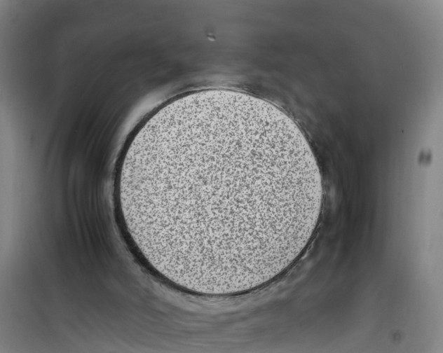 X0000100350006200807031825