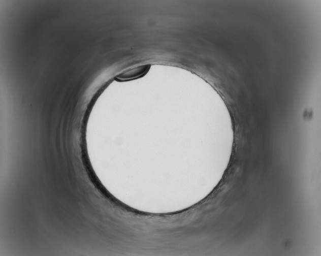 X0000100350007200807031825