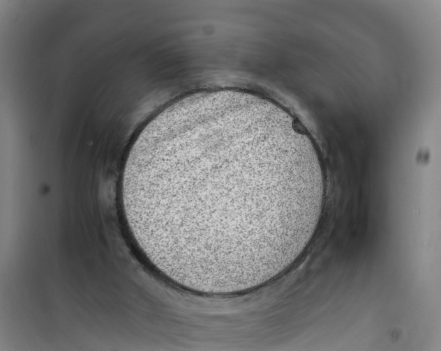 X0000100350010200807031825