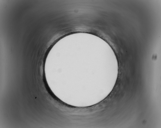 X0000100350011200807031825