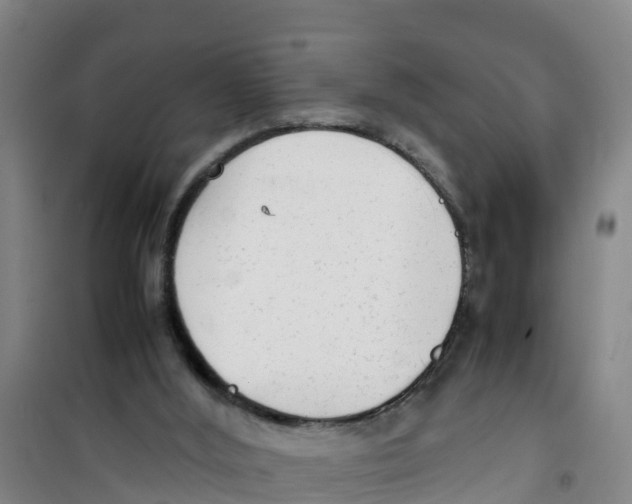 X0000100350012200807031825