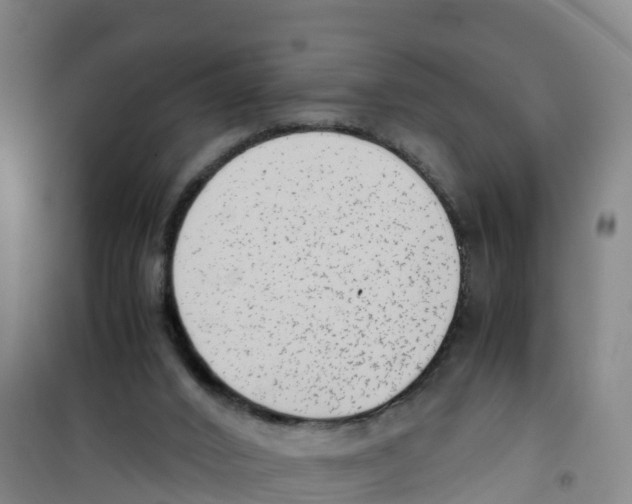 X0000100350016200807031825