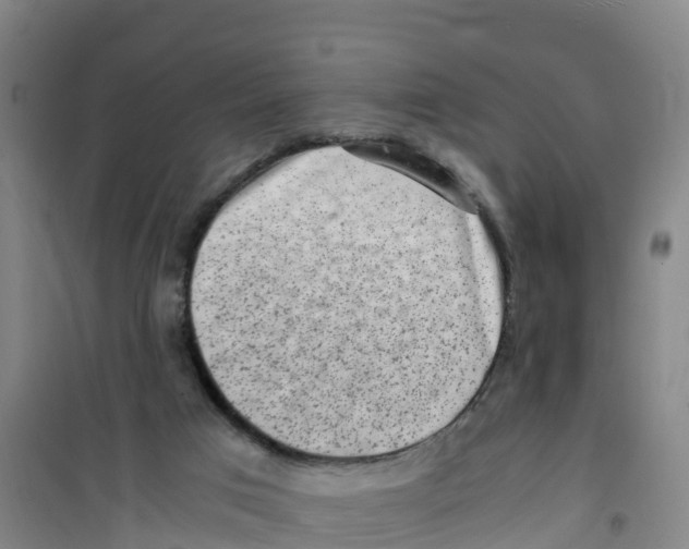 X0000100350017200807031825