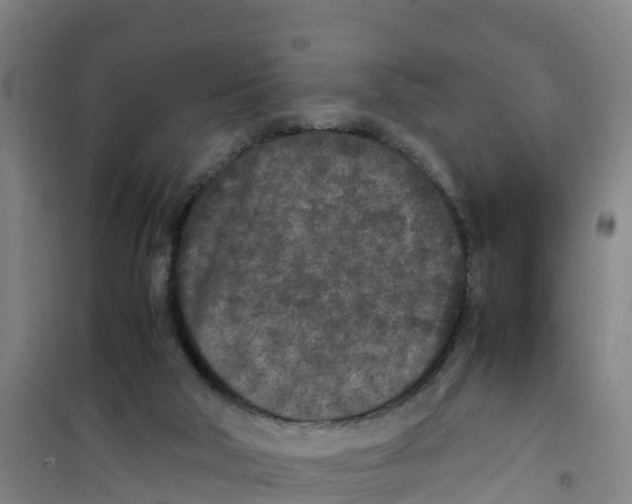 X0000100350018200807031825