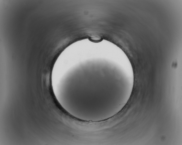 X0000100350019200807031825