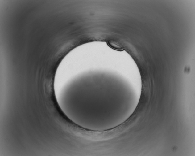 X0000100350023200807031825