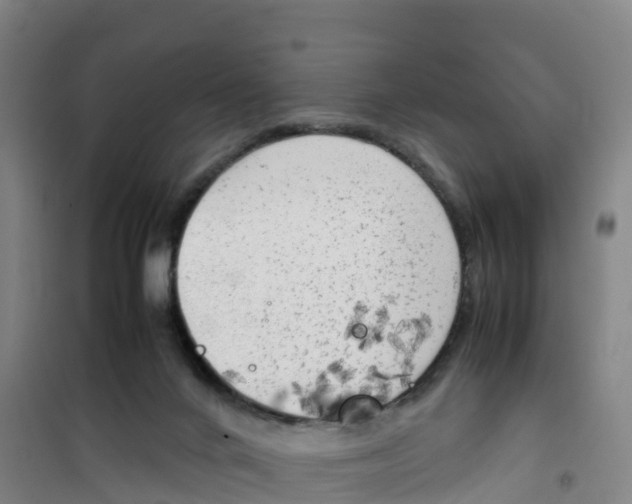 X0000100350024200807031825