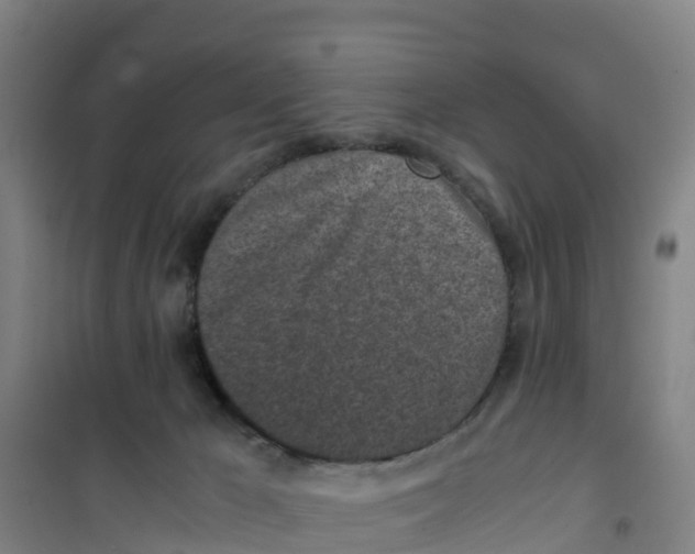 X0000100350029200807031825