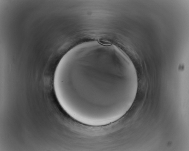 X0000100350031200807031825