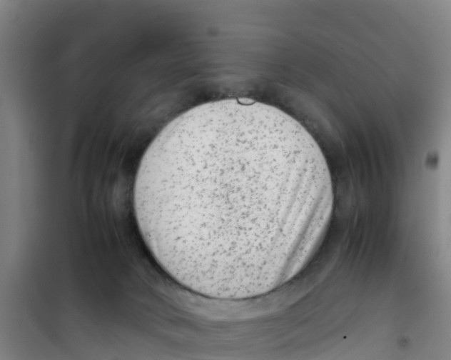 X0000100350034200807031825