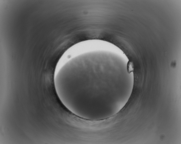 X0000100350035200807031825