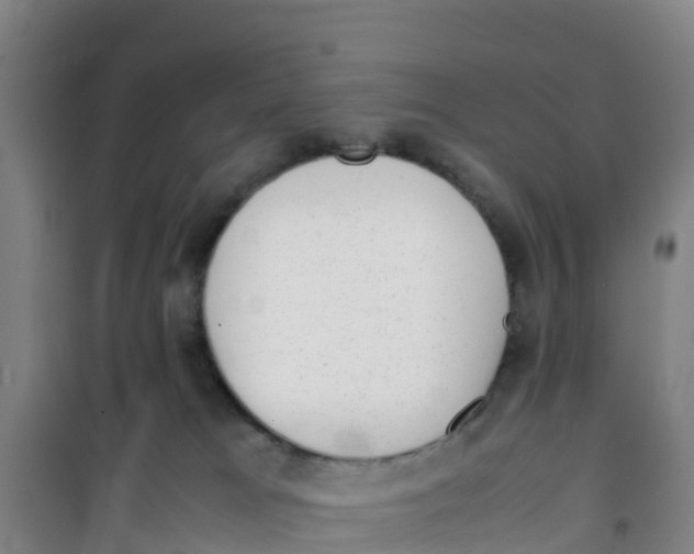 X0000100350037200807031825