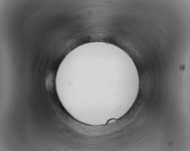 X0000100350038200807031825