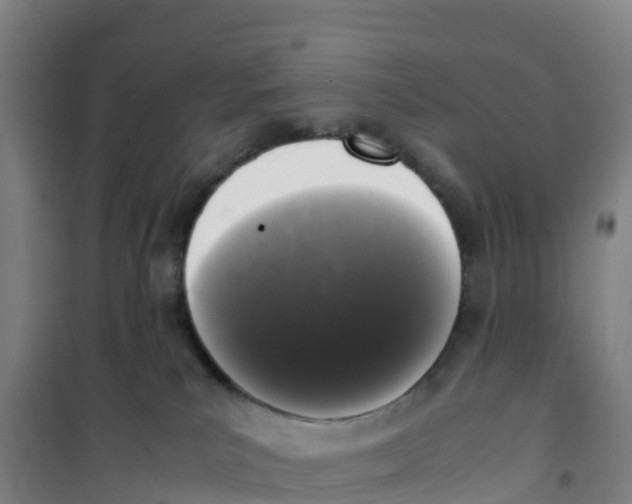 X0000100350039200807031824