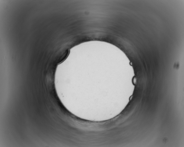 X0000100350040200807031824