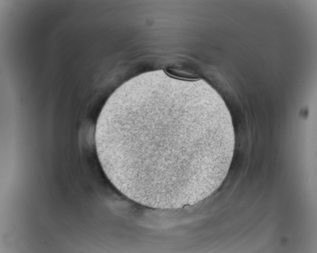 X0000100350041200807031824