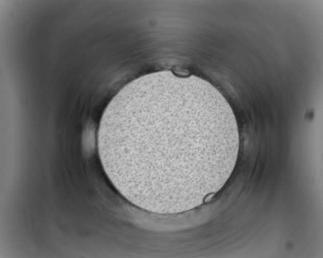 X0000100350042200807031824