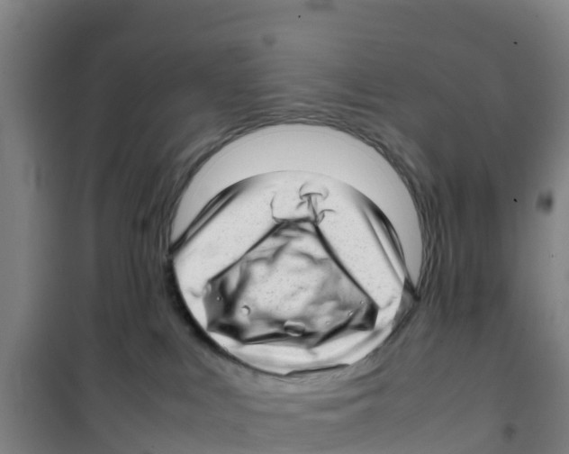 X0000100350043200807031824