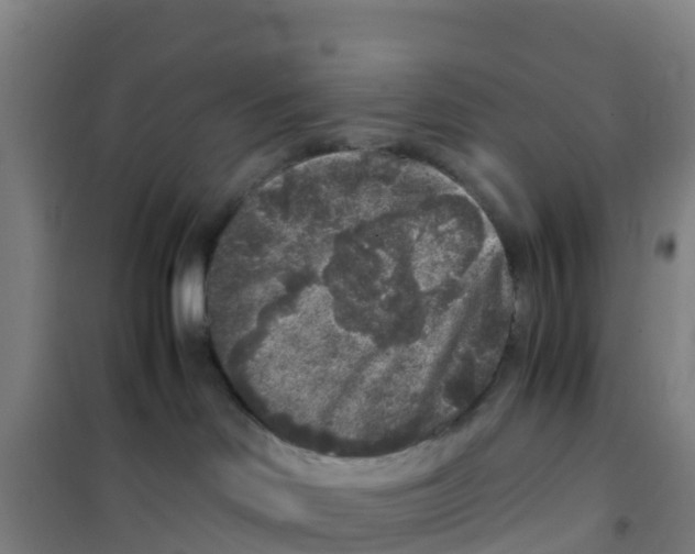 X0000100350046200807031824