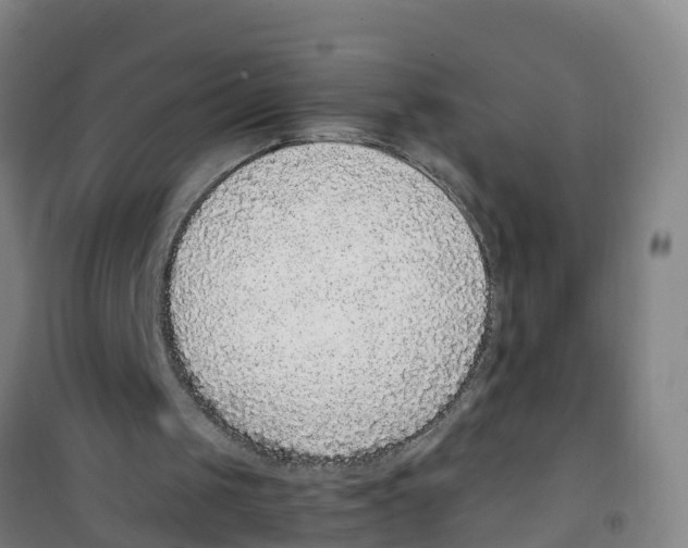 X0000100350049200807031824