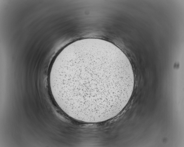 X0000100350050200807031824