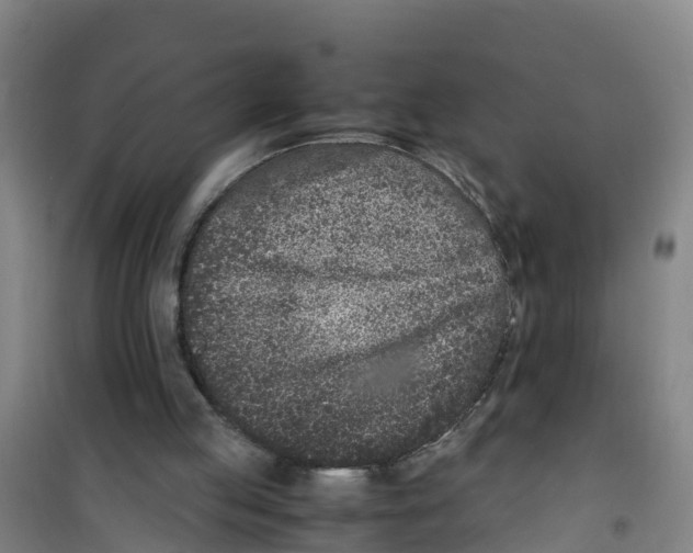 X0000100350053200807031824